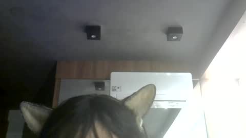 Snapshot of skinnykittencam chatting on July 7, 6:47 am skinnykittencam online show from July 7, 6:47 am