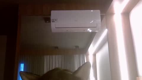 Snapshot of skinnykittencam chatting on July 7, 8:02 pm skinnykittencam online show from July 7, 8:02 pm
