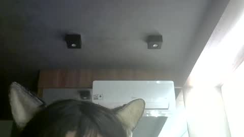 Snapshot of skinnykittencam chatting on July 8, 9:03 am skinnykittencam online show from July 8, 9:03 am