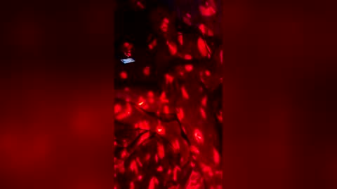 slicknick1988 online show from May 27, 7:38 am