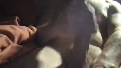 Snapshot of slienthear83 chatting on January 14, 6:34 am slienthear83 online show from January 14, 6:34 am