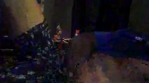 slimeguy315 online show from September 20, 3:40 am