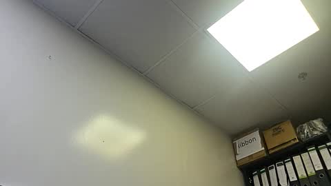 slothslav online show from October 28, 2:04 am