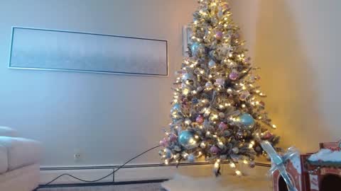 Snapshot of smexy_bun chatting on December 1, 5:24 pm Smexy online show from December 1, 5:24 pm