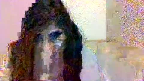 Snapshot of smurdle11 chatting on October 25, 3:29 pm smurdle online show from October 25, 3:29 pm