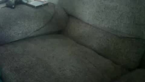 Snail online show from February 10, 1:48 pm