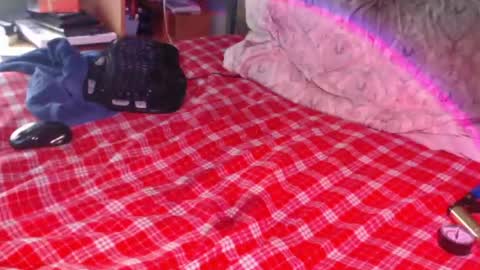 Snail online show from February 17, 2:35 pm