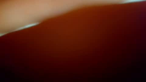 Snapshot of snopchat1234 chatting on February 2, 6:56 am snopchat1234 online show from February 2, 6:56 am