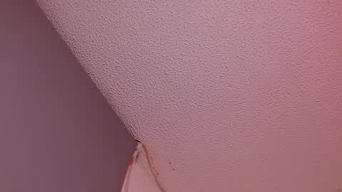 IG     OF red moonn online show from December 3, 7:05 am