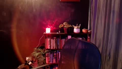 Snapshot of snow_flowers chatting on January 10, 11:09 pm Arwen online show from January 10, 11:09 pm