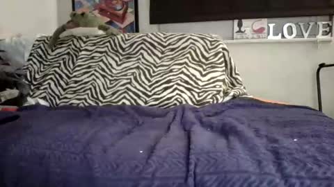 Snapshot of sofaking9 chatting on November 2, 10:50 am MicroAngelo online show from November 2, 10:50 am