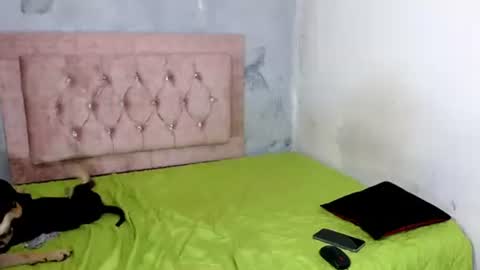 sofiadoll77 online show from February 8, 9:03 am