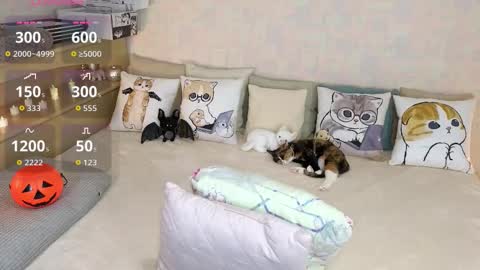 Snapshot of soft_purr_kitty chatting on October 31, 7:37 pm Mia online show from October 31, 7:37 pm