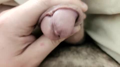 Snapshot of softenough chatting on November 1, 11:34 am soft enough online show from November 1, 11:34 am