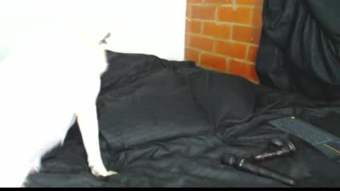  Sofy  online show from February 21, 3:07 am