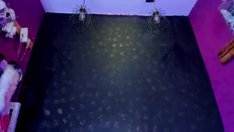 Snapshot of sommer_alexa chatting on February 12, 7:31 pm Alexa online show from February 12, 7:31 pm