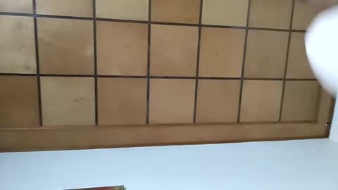 sonicegay online show from February 2, 1:30 pm