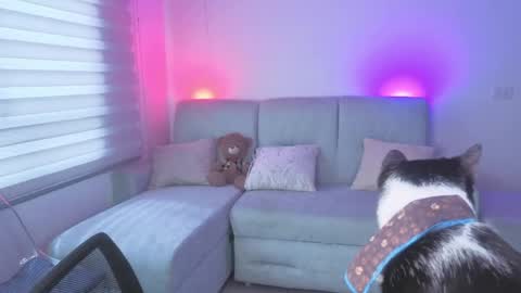Sophie  online show from May 25, 3:18 pm