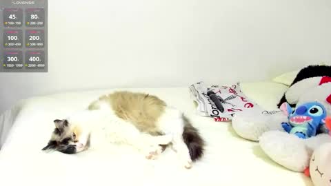 Snapshot of sophiebaker__ chatting on September 20, 1:50 am sophiebaker__ online show from September 20, 1:50 am