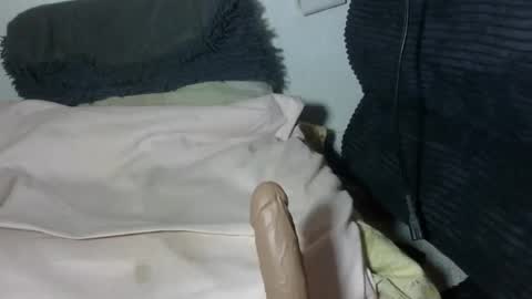 spenser online show from April 7, 12:05 pm