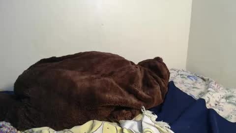 Snapshot of spice_queen chatting on February 2, 3:43 am dela online show from February 2, 3:43 am