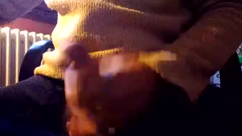 CIPPALIPPA online show from December 31, 1:08 pm