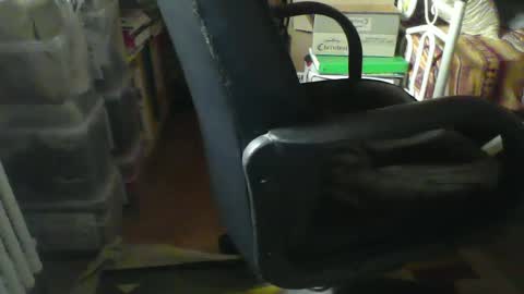 CIPPALIPPA online show from January 21, 8:52 am