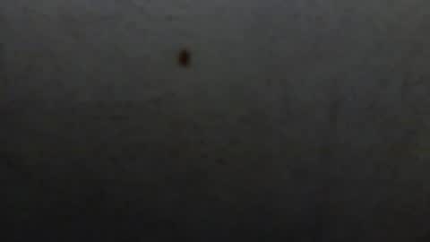 Snapshot of starguy600 chatting on January 11, 7:46 am starguy600 online show from January 11, 7:46 am