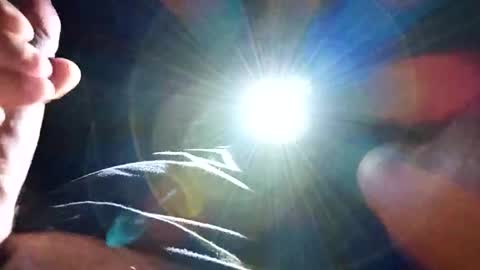 steb177 online show from November 18, 11:36 am