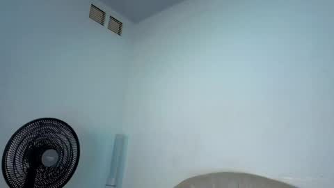 Steicy online show from April 12, 3:39 pm