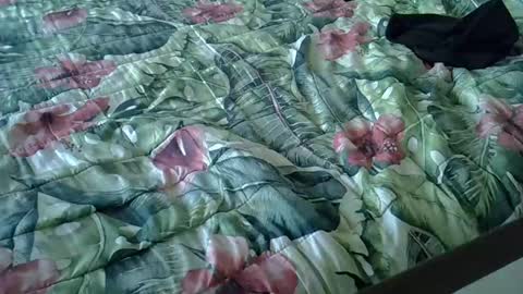 Snapshot of stel7621 chatting on January 15, 3:39 pm Rocco-load online show from January 15, 3:39 pm