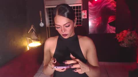 stella online show from November 11, 4:51 pm