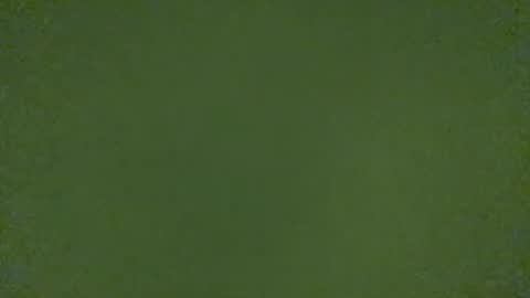 Snapshot of stensurfarn chatting on March 21, 11:15 am stensurfarn online show from March 21, 11:15 am