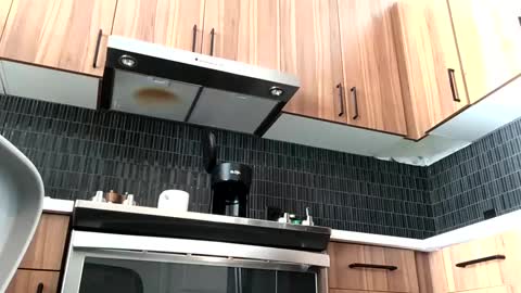 stlhotwifeguy online show from February 14, 3:36 pm