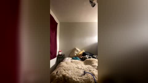 Stag online show from January 10, 6:04 am