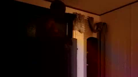 studd77637299 online show from November 15, 3:48 am