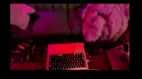 Snapshot of studio4three chatting on February 26, 11:20 am studio4three online show from February 26, 11:20 am