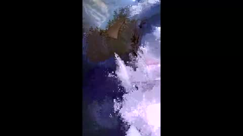 stuffamuffagus69 online show from May 17, 9:33 pm