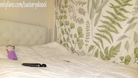 Snapshot of suckerydoool chatting on February 1, 3:05 am Maya online show from February 1, 3:05 am