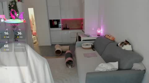 Snapshot of sugar_rainbow chatting on October 18, 10:27 am Kinga online show from October 18, 10:27 am