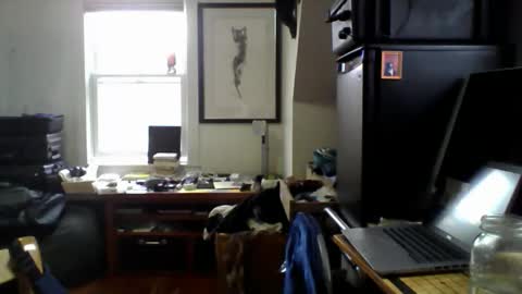 Sugar online show from April 14, 2:01 pm