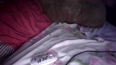 sunnkissed slick online show from September 9, 7:41 am