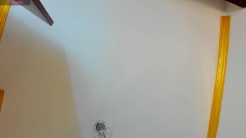 Snapshot of sunnyleonz chatting on February 13, 9:44 pm Sunny Leon Z online show from February 13, 9:44 pm