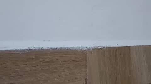 Annie online show from October 6, 5:32 pm