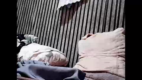 Snapshot of superclit4u chatting on November 11, 8:03 am superclit4u online show from November 11, 8:03 am