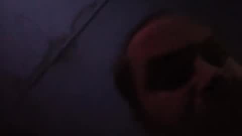 sloth online show from February 20, 11:43 am