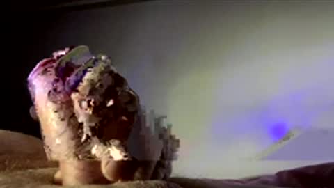 surgenz73 online show from January 16, 2:37 am