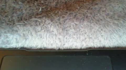 Suseee online show from March 21, 3:44 am