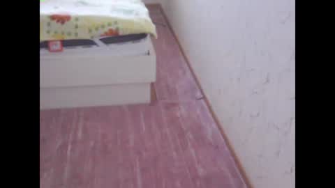 sv27 online show from February 13, 11:17 am