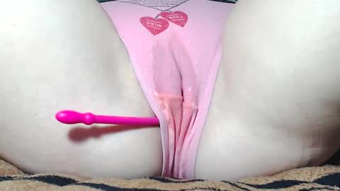 Kitten online show from April 5, 7:38 am